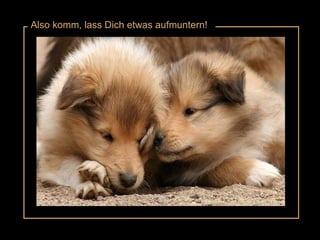 Also komm, lass Dich etwas aufmuntern! 