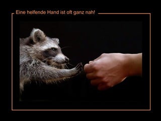 Eine helfende Hand ist oft ganz nah! 
