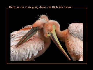 Denk an die Zuneigung derer, die Dich lieb haben! 