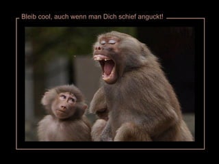 Bleib cool, auch wenn man Dich schief anguckt! 