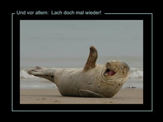 Und vor allem:  Lach doch mal wieder! 