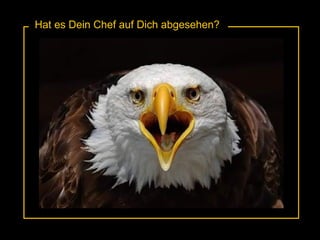 Hat es Dein Chef auf Dich abgesehen? 