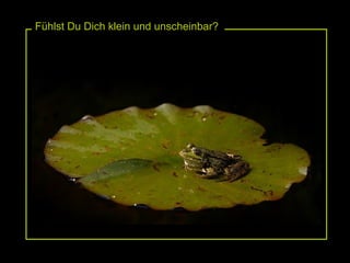 Fühlst Du Dich klein und unscheinbar? 