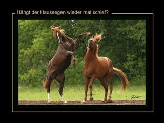 Hängt der Haussegen wieder mal schief? 