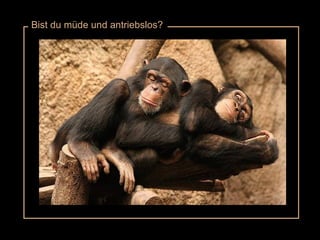 Bist du müde und antriebslos? 