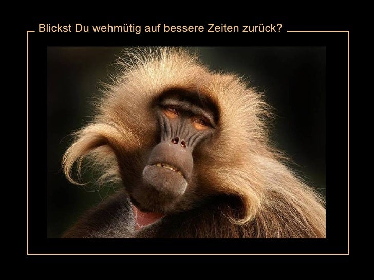 Lustiges bild zum aufmuntern