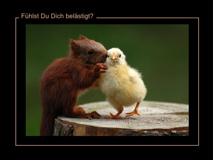 Aufheitern Aufheitern