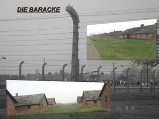 DIE BARACKE 