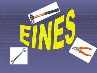 EINES 