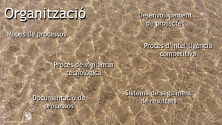 10
De Joaquim Carbonell
Organització
Mapes de processos
Procés de vigilància
tecnològica
Desenvolupament
de projectes
Procés d’intel·ligència
competitiva
Sistema de seguiment
de resultatsDocumentació de
processos
 