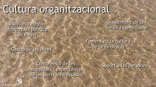 9
De Joaquim Carbonell
Cultura organitzacional
Visió, estratègia,
directrius i política
de R+D+I
Gestió de les idees
Assoliment de la
millora continuada
Foment de la cultura
de la innovació
Suport a les personesComprensió de les
necessitats i expectatives
de les parts interessades
 