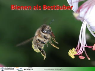 Bienen als Bestäuber




          Bienen als Bestäuber – Einführung | 1
 