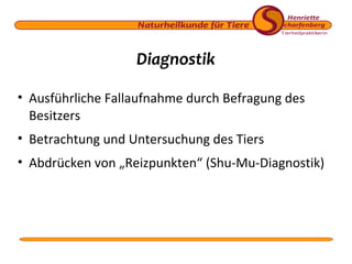 Diagnostik
• Ausführliche Fallaufnahme durch Befragung des
Besitzers
• Betrachtung und Untersuchung des Tiers
• Abdrücken von „Reizpunkten“ (Shu-Mu-Diagnostik)

 