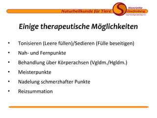 Einige therapeutische Möglichkeiten
•

Tonisieren (Leere füllen)/Sedieren (Fülle beseitigen)

•

Nah- und Fernpunkte

•

Behandlung über Körperachsen (Vgldm./Hgldm.)

•

Meisterpunkte

•

Nadelung schmerzhafter Punkte

•

Reizsummation

 