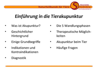 Einführung in die Tierakupunktur
•

Was ist Akupunktur?

•

Die 5 Wandlungsphasen

•

Geschichtlicher
Hintergrund

•

Therapeutische Möglichkeiten

•

Einige Grundbegriffe

•

Akupunktur beim Tier

•

Indikationen und
Kontraindikationen

•

Häufige Fragen

•

Diagnostik

 
