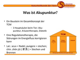 Was ist Akupunktur?
• Ein Baustein im Gesamtkonzept der
TCM
– 3 Hauptsäulen beim Tier: Akupunktur, Kräutertherapie, Diätetik

• Eine Regulationstherapie, die
Störungen im Energiefluss korrigieren
kann
• Lat.: acus = Nadel, pungere = stechen;
chin. zhēn jiǔ ( 針灸 ) = Stechen und
Brennen

TCM
Akupunktu
r

Phytotherapie

Diätetik

Bewegungs- & Meditationsübungen, Massagen

 