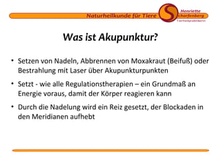 Was ist Akupunktur?
• Setzen von Nadeln, Abbrennen von Moxakraut (Beifuß) oder
Bestrahlung mit Laser über Akupunkturpunkten
• Setzt - wie alle Regulationstherapien – ein Grundmaß an
Energie voraus, damit der Körper reagieren kann
• Durch die Nadelung wird ein Reiz gesetzt, der Blockaden in
den Meridianen aufhebt

 