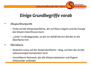 Einige Grundbegriffe vorab
•

Akupunkturpunkt
– Punkt auf der Körperoberfläche, der auf Reize reagiert und die Energie
des Körpers beeinflussen kann
– „Lücke“ im Bindegewebe, an der ein Gefäß-Nerven-Bündel an die
Oberfläche tritt

•

Meridiane
– Gedachte Linien auf der Körperoberfläche – Weg, auf dem das Qi (die
Lebensenergie) transportiert wird
– Unsichtbares Netzwerk, das alle Körpersubstanzen und Organe
miteinander verbindet

 
