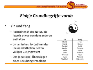 Einige Grundbegriffe vorab
•

Yin und Yang
– Polaritäten in der Natur, die
jeweils etwas von dem anderen
enthalten
– dynamisches, fortwährendes
Ineinanderfließen, selten
völliges Gleichgewicht
– Das (deutliche) Überwiegen
eines Teils bringt Probleme

 