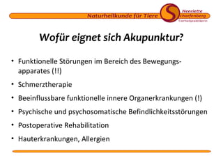 Wofür eignet sich Akupunktur?
• Funktionelle Störungen im Bereich des Bewegungsapparates (!!)
• Schmerztherapie
• Beeinflussbare funktionelle innere Organerkrankungen (!)
• Psychische und psychosomatische Befindlichkeitsstörungen
• Postoperative Rehabilitation
• Hauterkrankungen, Allergien

 