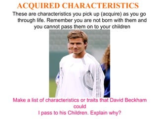ACQUIRED CHARACTERISTICS   These are characteristics you pick up (acquire) as you go through life. Remember you are not born with them and you cannot pass them on to your children Make a list of characteristics or traits that David Beckham could l pass to his Children. Explain why? 