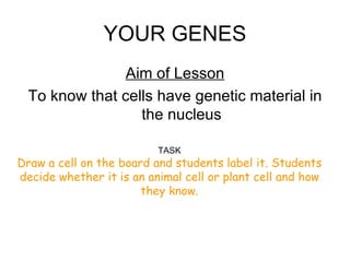 YOUR GENES Aim of Lesson To know that cells have genetic material in the nucleus TASK Draw a cell on the board and students label it. Students decide whether it is an animal cell or plant cell and how they know. 