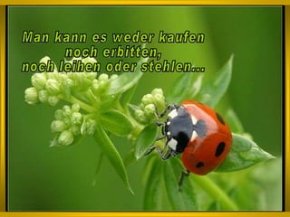 Man kann es weder kaufen  noch erbitten,  noch leihen oder stehlen... 