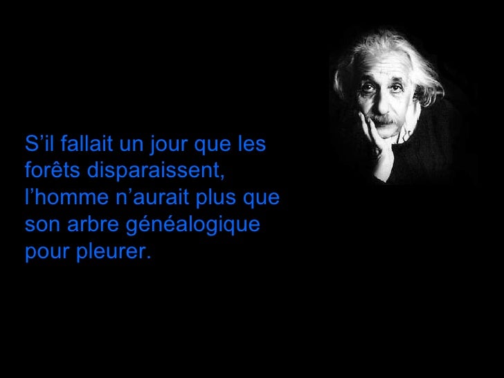 Einstein Quelques Citations Einstein Quelques Citations