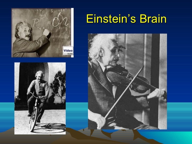 Resultado de imagen para EINSTEIN BRAIN