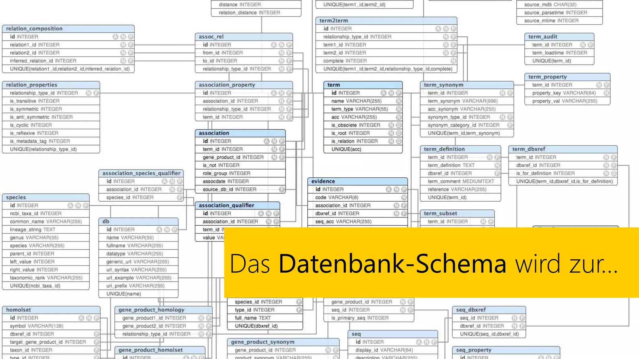 Das Datenbank-Schema wird zur…
 