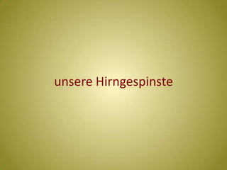 unsere Hirngespinste