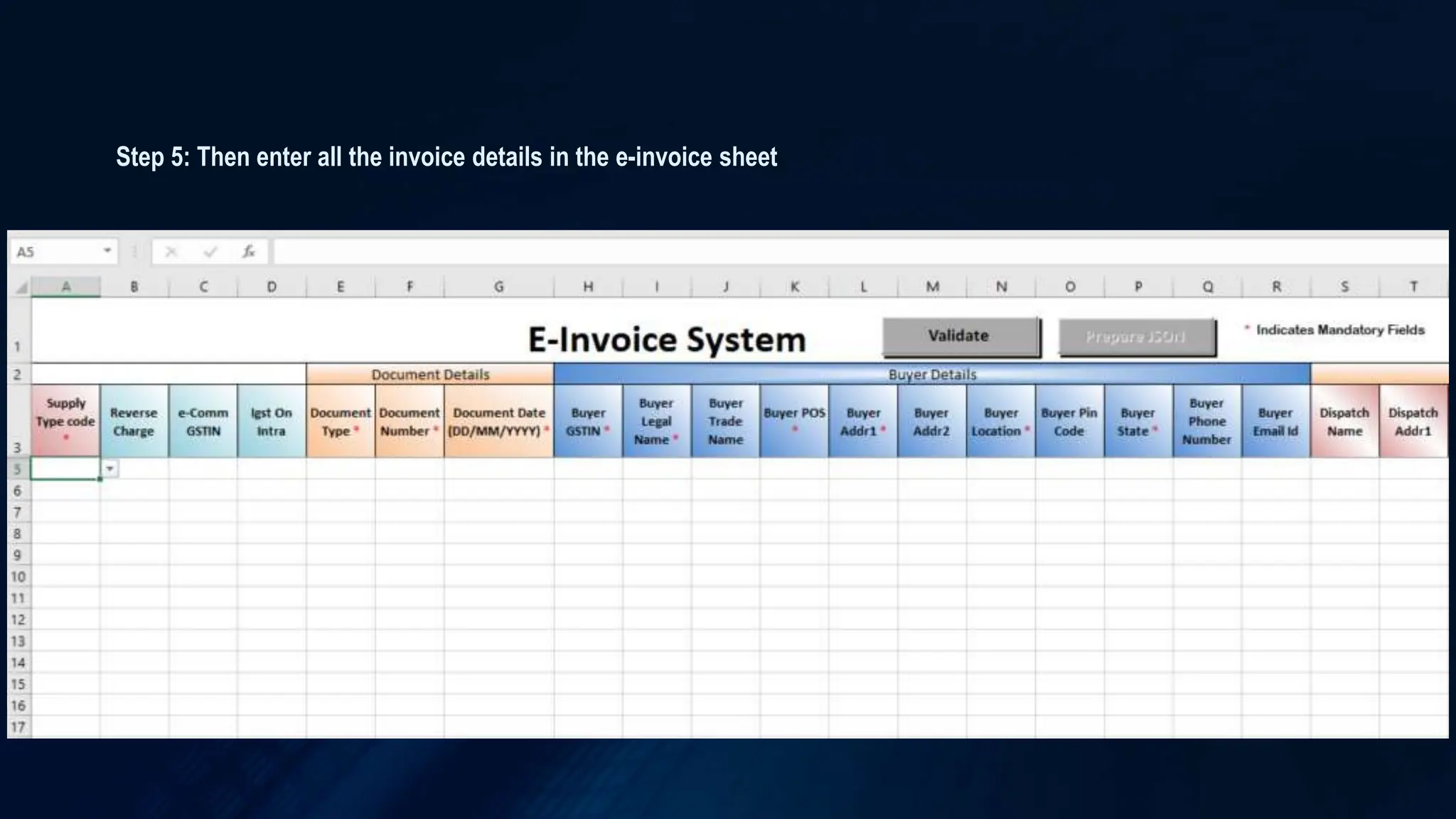 Step 5: Then enter all the invoice details in the e-invoice sheet
 