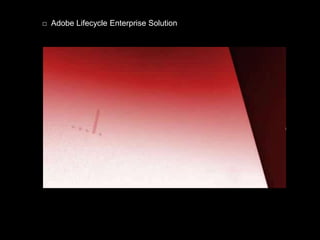 □ Adobe Lifecycle Enterprise Solution
 