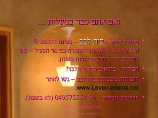 ואם אתם כבר במעלות ... מומלץ לבקר ב בית לבב  – ספינת האדמה  ®   הראשונה בישראל או להתארח בצימר הפעיל – שם לומדים דרך החושים לחיות באיזון .  הביקור  -  בתיאום מראש בלבד ! לתמונות נוספות מבית לבב – גשו לאתר  www.Levav.adama.net . לפרטים נוספים – טל ' 049575553 ( לא בשבת ). ב " ה הטיול צולם על ידי אמנון לבב  כל הזכויות שמורות  © 2003. 