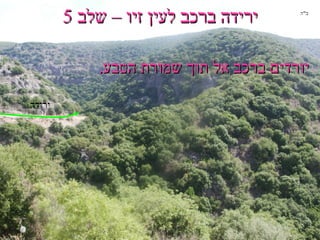 ירידה ברכב לעין זיו – שלב 5 יורדים ברכב אל תוך שמורת הטבע .  ירידה ב " ה 