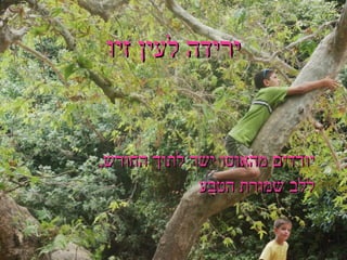 ירידה לעין זיו יורדים מהאוטו ישר לתוך החורש , ללב שמורת הטבע ב " ה 