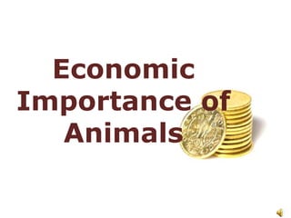 Economic
Importance of
   Animals
 