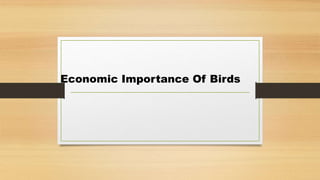 Economic Importance Of Birds
 