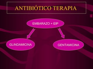ANTIBIÓTICO TERAPIA

               EMBARAZO + EIP




GLINDAMICINA                GENTAMICINA
 