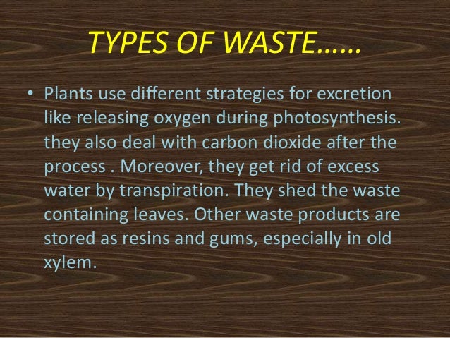 Biology Ppt Excretion In Plants And Animals