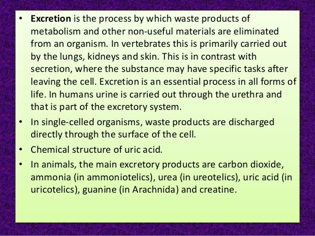 Biology Ppt Excretion In Plants And Animals