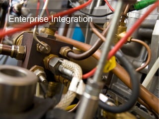 Enterprise Integration
 
