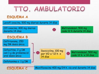 Levofl oxacina, 500 mg diarios durante 14 días
Ofl oxacina, 400 mg diarios
durante 14 días
Ceftriaxona, 250
mg IM dosis única
Doxiciclina, 100 mg
por VO c/ 12 h x
14 días
Cefoxitina, 2 g IM
con 1 g de probenecid
oral dosis única
Cefotaxima o 1 g IM
Metronidazol, 500 mg
cada 12 h durante 14 días
Metronidazol, 500 mg
cada 12 h x 14 días
Moxifloxacino 400 mg/24 h. via oral durante 14 dias
 