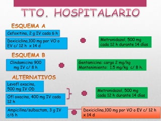 Cefoxitina, 2 g IV cada 6 h
Doxiciclina,100 mg por VO o
EV c/ 12 h x 14 d
Clindamicina 900
mg IV c/ 8 h
Levofl oxacina,
500 mg IV OD
Metronidazol, 500 mg
cada 12 h durante 14 días
Gentamicina: carga 2 mg/kg
Mantenimiento: 1.5 mg/kg c/ 8 h.
Ofl oxacina, 400 mg IV cada
12 h
Ampicilina/sulbactam, 3 g IV
c/6 h
Metronidazol, 500 mg
cada 12 h durante 14 días
Doxiciclina,100 mg por VO o EV c/ 12 h
x 14 d
 
