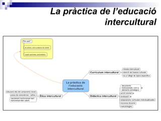 La pràctica de l’educació
intercultural
 