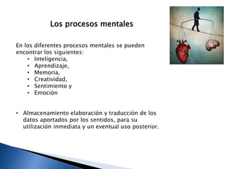 Los procesos mentales
En los diferentes procesos mentales se pueden
encontrar los siguientes:
• Inteligencia,
• Aprendizaje,
• Memoria,
• Creatividad,
• Sentimiento y
• Emoción
• Almacenamiento elaboración y traducción de los
datos aportados por los sentidos, para su
utilización inmediata y un eventual uso posterior.
 