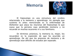 El hipocampo es una estructura del cerebro
relacionada a la memoria y aprendizaje. Un ejemplo que
sustenta lo antes mencionado es la enfermedad de
Alzheimer que ataca las neuronas del hipocampo lo que
causa que la persona vaya perdiendo memoria y no
recuerde en muchas ocasiones ni a sus familiares.
En términos prácticos, la memoria (o, mejor, los
recuerdos) es la expresión de que ha ocurrido un
aprendizaje. De ahí que los procesos de memoria y de
aprendizaje sean difíciles de estudiar por separado.
 