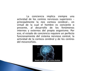 La conciencia implica siempre una
actividad de los centros nerviosos superiores –
principalmente la neo corteza cerebral–, en
virtud de la cual el hombre es consiente o
presente, al desarrollo de los fenómenos
internos y externos del propio organismo. Por
eso, el estado de conciencia requiere un perfecto
funcionamiento del sistema nervioso central, la
actividad de la corteza cerebral y de los centros
del mesencéfalo.
 