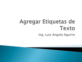 Agregar Etiquetas de Texto Ing. Luis Angulo Aguirre 