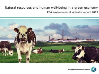 Natural resources and human well-being in a green economy
EEA environmental indicator report 2013

 